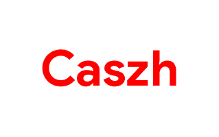 Caszh Logo